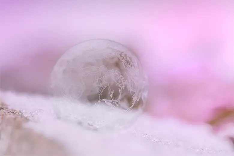 Social Freezing