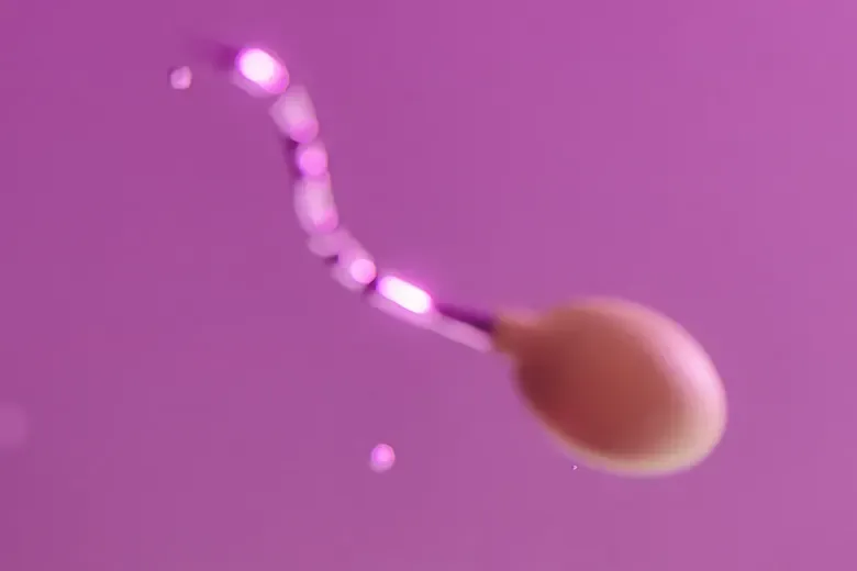 DNA-Fragmentierung