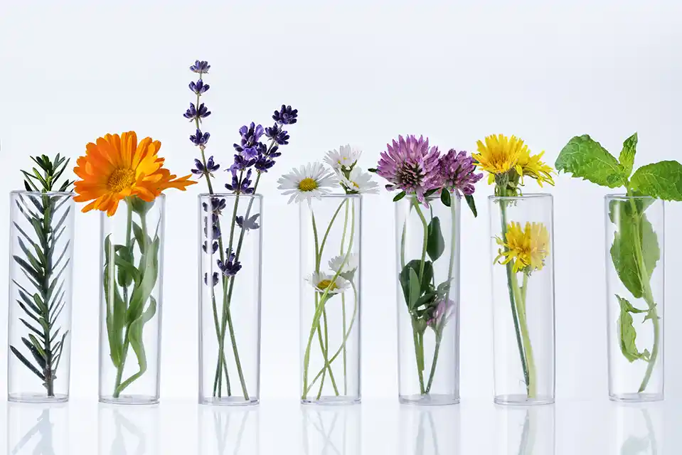 individuelle laborleistungen