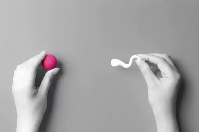 unterstuetzung der natuerlichen konzeption