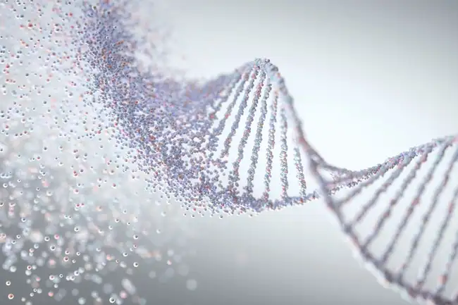 praeimplantationsdiagnostik pid pkd